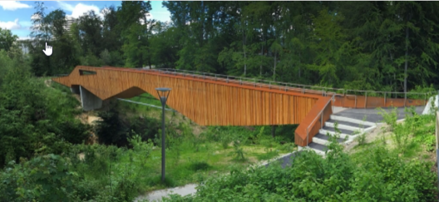Die Holzbrücke mit dem Wald im Intergrund.