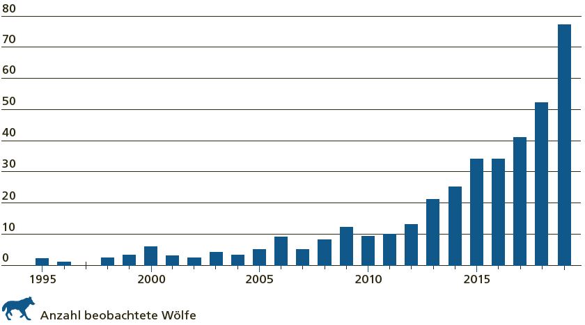 Entwicklung des Wolfbestandes der Schweiz von 1995 bis heute. Bis 2012 verlief die Kurve flach, danach gab es einen steilen Anstieg (Verachtfachung des Bestandes von 2012 bis heute).