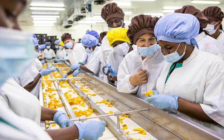 Projet soutenu par la Suisse promouvant la production durable de mangues au Ghana.