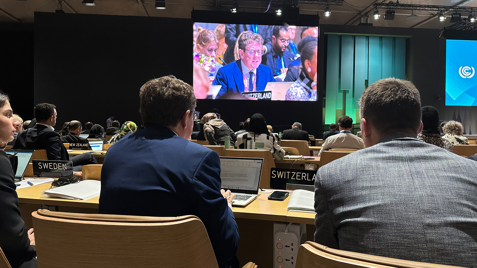 COP29