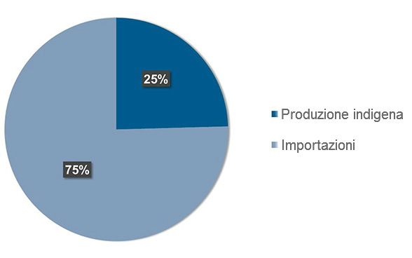 Il grafico mostra che la Svizzera importa il 75% dei vettori energetici.